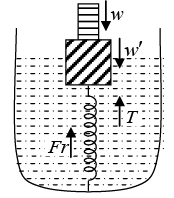 Fluid Mechanics: Assignment Part - 1