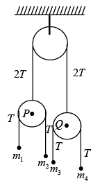 Newton`s Laws of Motion: Assignment | Mechanics & General Properties of Matter - Physics