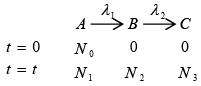 Radioactive Decay | Modern Physics