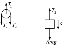 Newton`s Laws of Motion: Assignment | Mechanics & General Properties of Matter - Physics