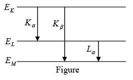 Bohr Atomic Model | Modern Physics