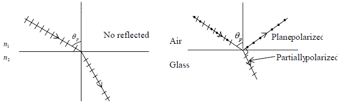 Polarization of Light | Oscillations, Waves & Optics - Physics