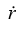 Newton`s Laws of Motion: Assignment | Mechanics & General Properties of Matter - Physics