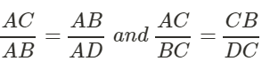 Right Triangles and Trigonometry | Additional Topics for IIT JAM Mathematics