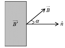 Magnetisation & Boundary Condition: Assignment | Electricity & Magnetism - Physics