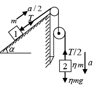 Newton`s Laws of Motion: Assignment | Mechanics & General Properties of Matter - Physics