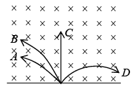 Dynamics of Charged Particles in Static and Uniform Electromagnetic Fields | Electricity & Magnetism - Physics
