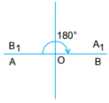 Symmetry and Nets Class 5 Notes Maths