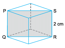 Symmetry and Nets Class 5 Worksheet Maths