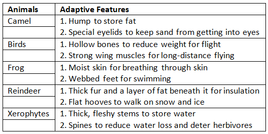 Textbook Solutions Adaptation in Animals and Plants - Class 5 PDF Download