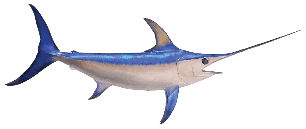 NCERT Solutions for Class 5 Maths - The Fish Tale - 2