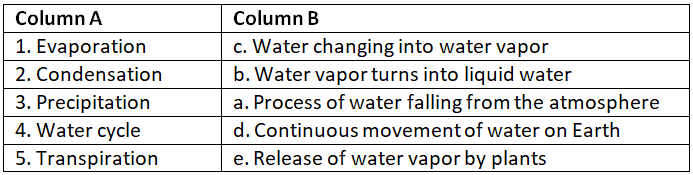 Worksheet Solutions: The Water Cycle | General Knowledge for Young Learners - Class 1