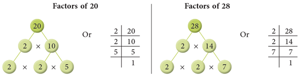 Factors and Multiples Class 5 Notes Maths
