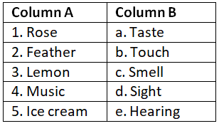 Worksheet Solutions: Our 5 Senses - 3 | General Knowledge for Young Learners - Class 1