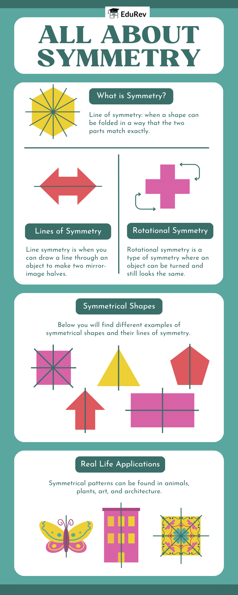 Infographics: Symmtery | Mathematics for Class 5