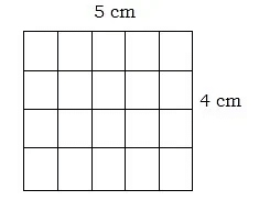 How Many Squares? - 1 Class 5 Worksheet Maths Chapter 3