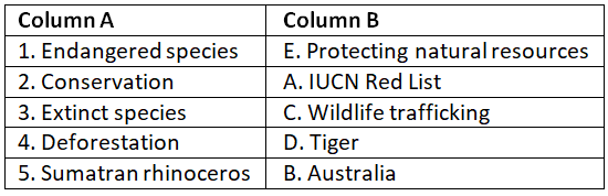 Worksheet Solutions: Endangered Animals | General Knowledge for Young Learners - Class 1