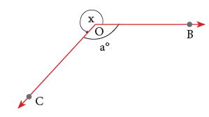 Lines, Angles and Triangles / Geometry Class 5 Notes Maths