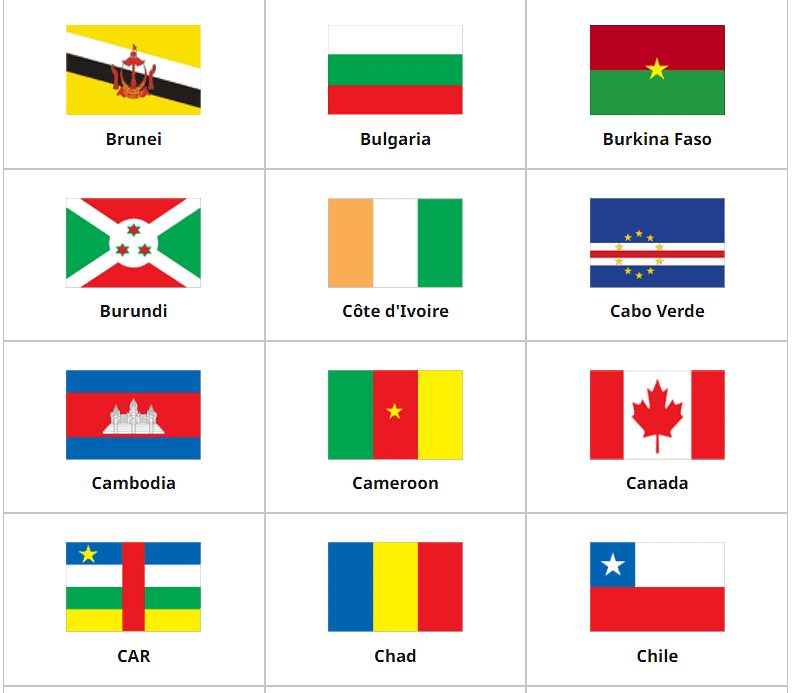 Flags of the World | General Knowledge for Young Learners - Class 1