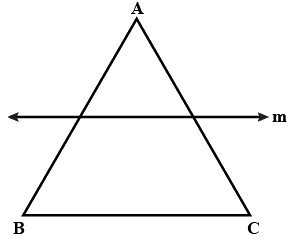 Important Questions: Does it Look the Same? | Mathematics for Class 5: NCERT