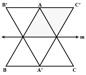 Important Questions: Does it Look the Same? | Mathematics for Class 5: NCERT