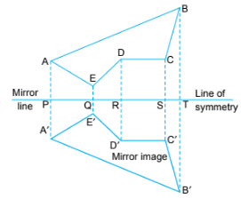 Symmetry and Nets Class 5 Notes Maths