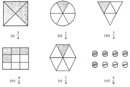 Class 5 Maths Chapter 4 HOTS Questions - Chapter 4- Parts and whole