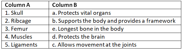 Worksheet Solutions: Bones | General Knowledge for Young Learners - Class 1