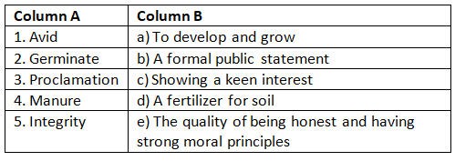 Worksheet with Solutions: The Seed of Truth - Class 5