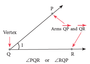Lines, Angles and Triangles / Geometry Class 5 Notes Maths
