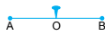 Symmetry and Nets Class 5 Notes Maths