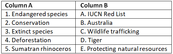 Worksheet: Endangered Animals | General Knowledge for Young Learners - Class 1