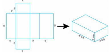 Symmetry and Nets Class 5 Notes Maths