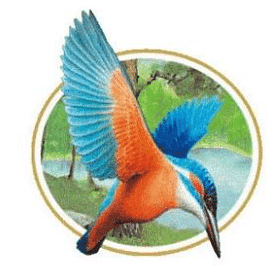 Worksheet Solutions: Logos - 2 | General Knowledge for Young Learners - Class 1