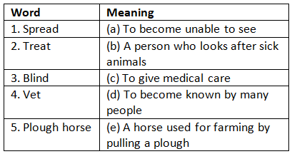 Worksheet with Solutions: Dr. Dolittle - The Vet - Class 5