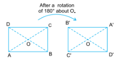 Symmetry and Nets Class 5 Notes Maths