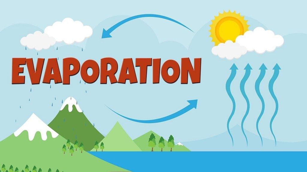 The Water Cycle | General Knowledge for Young Learners - Class 1
