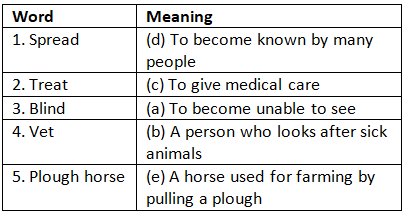 Worksheet with Solutions: Dr. Dolittle - The Vet - Class 5