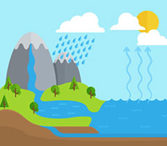 The Water Cycle | General Knowledge for Young Learners - Class 1