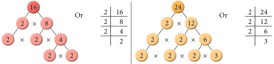 Factors and Multiples Class 5 Notes Maths