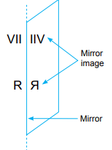 Symmetry and Nets Class 5 Notes Maths