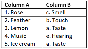 Worksheet Solutions: Our 5 Senses - 3 | General Knowledge for Young Learners - Class 1