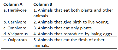Worksheet with Solutions: Plants and Animals - Class 5