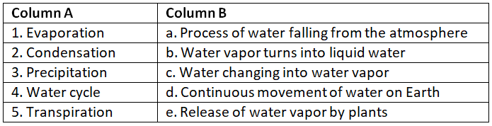 Worksheet Solutions: The Water Cycle | General Knowledge for Young Learners - Class 1