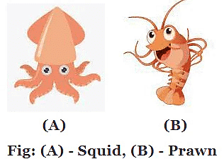 NCERT Solutions for Class 5 Maths - The Fish Tale - 2