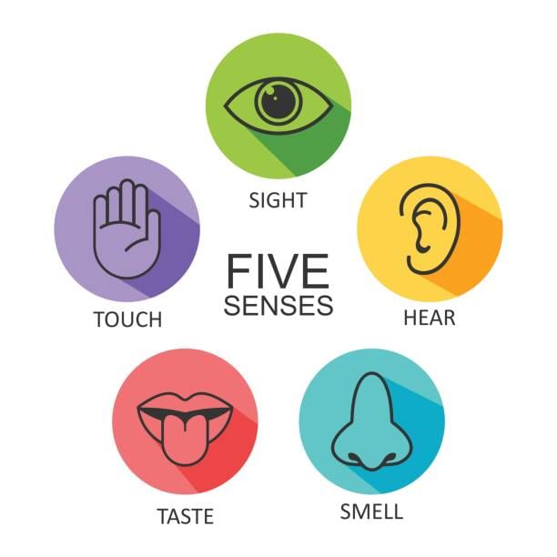 Senses | General Knowledge for Young Learners - Class 1