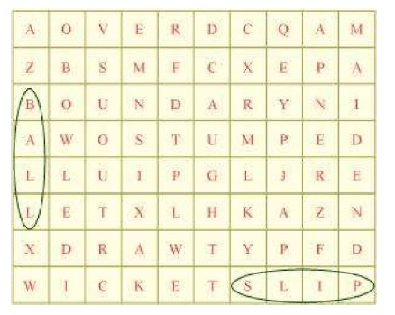 NCERT Solutions for Class 7 English - The Story of Cricket