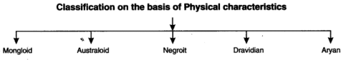 NCERT Solutions for Class 12 Sociology - Social Institutions: Continuity and Change