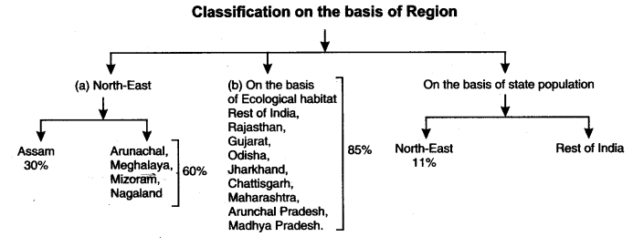 NCERT Solutions for Class 12 Sociology - Social Institutions: Continuity and Change