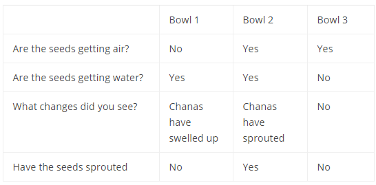 NCERT Solutions for Class 5 EVS Chapter 5 - Seeds and Seeds